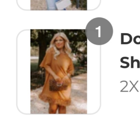 PLUS merit Dress Super cute feather detail. Worn once to concert. So Cute! - Picture 3 of 5